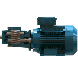 Image d'une pompe à engrenage en version monobloc avec utilisation d’un moteur arbre long (Série BMF)