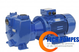 Image de la pompe centrifuge auto-amor&ccedil;ante Varisco s&eacute;rie J