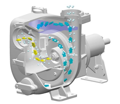 Pompe auto-amorçante tout inox 304 NPX Monophasé