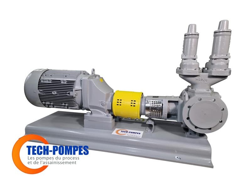 Image d'une pompe à engrenage TG120-100