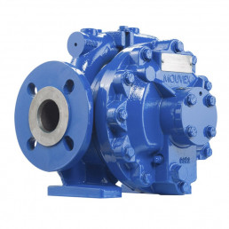 Image d'une pompe à piston excentré MOUVEX AK12
