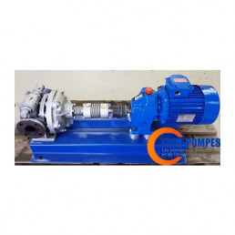 R&eacute;paration de pompe de Mouvex de transfert de fluide caloporteur AF HT