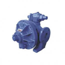 Image d'une pompe Mouvex &agrave; piston excentr&eacute;