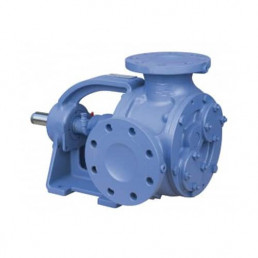 Image d'une pompe Varisco &agrave; engrenages internes pour transferts de bitume, &eacute;mulsion, fuel lourd