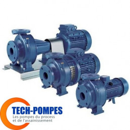 Image de pompes centrifuge normalisée en fonte 3D