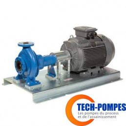 Pompe centrifuge normalisée en fonte EBARA GS
